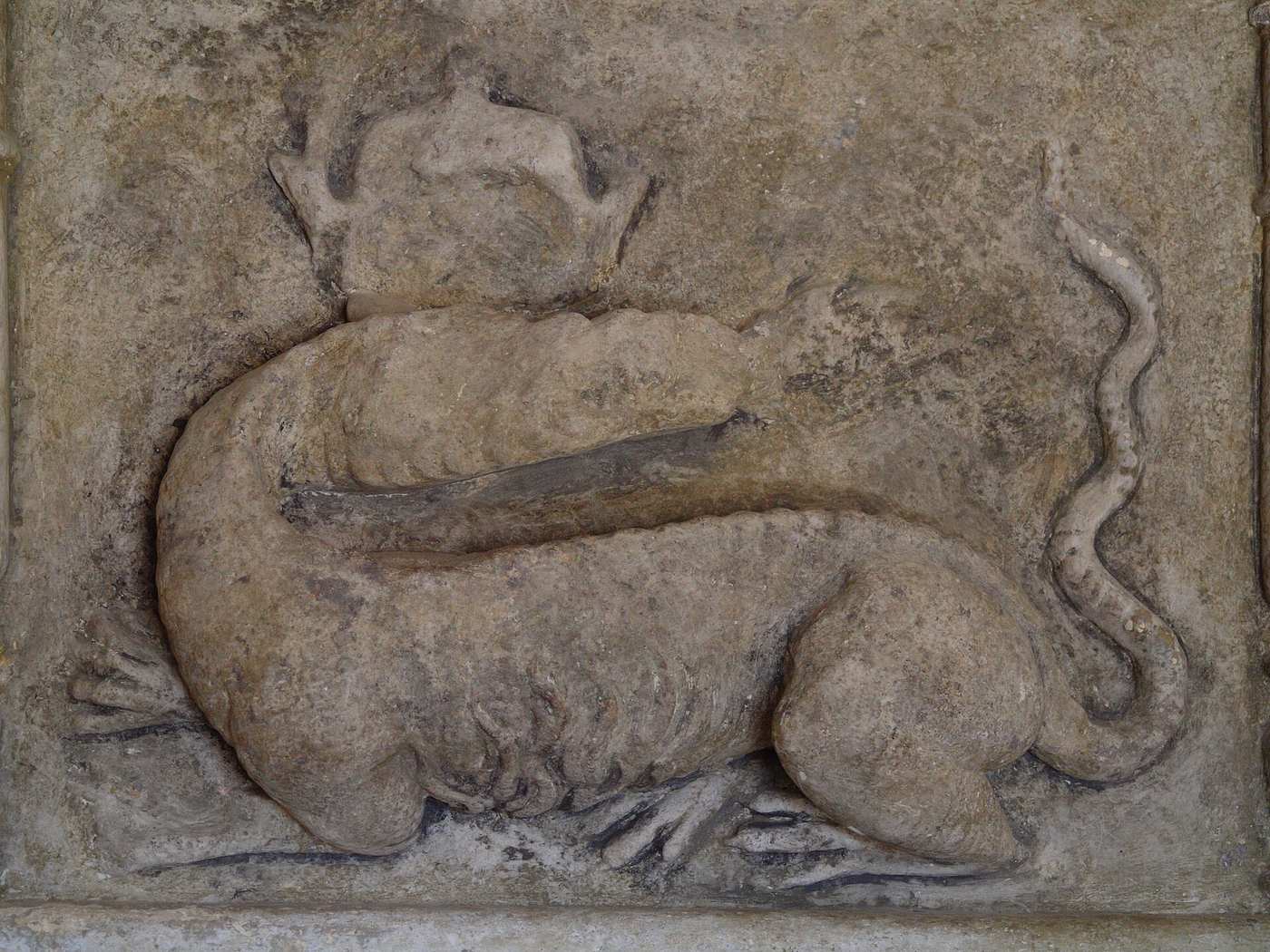 Salamandre couronnée sculptée en bas-relief sur une cheminée du château de Grignan